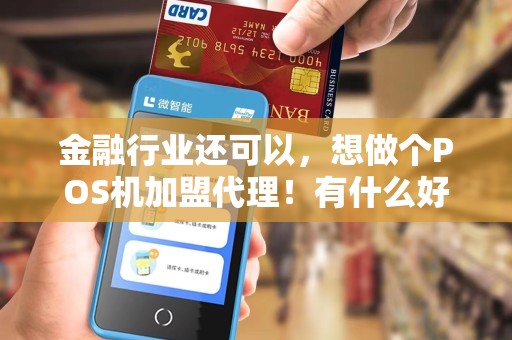 金融行业还可以，想做个POS机加盟代理！有什么好的品牌不