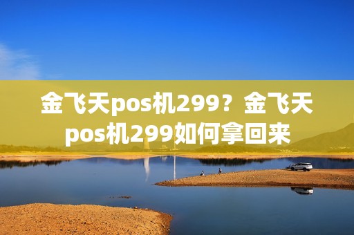 金飞天pos机299？金飞天pos机299如何拿回来