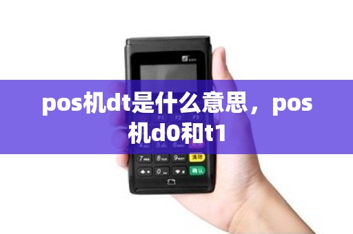 pos机dt是什么意思，pos机d0和t1