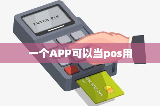 一个APP可以当pos用
