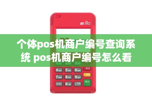 个体pos机商户编号查询系统 pos机商户编号怎么看