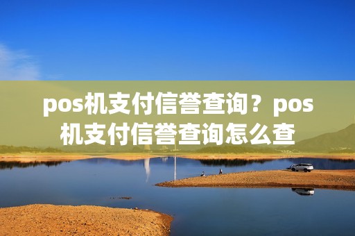 pos机支付信誉查询？pos机支付信誉查询怎么查