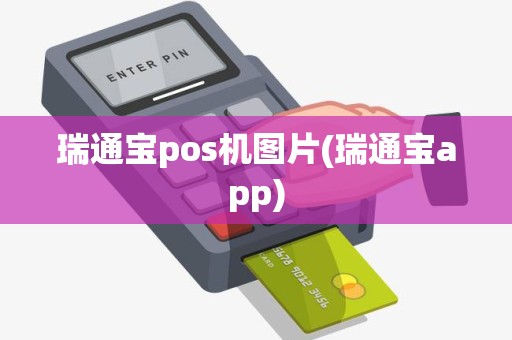 瑞通宝pos机图片(瑞通宝app)