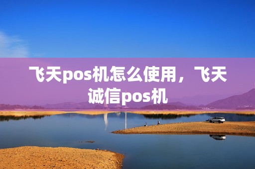 飞天pos机怎么使用，飞天诚信pos机