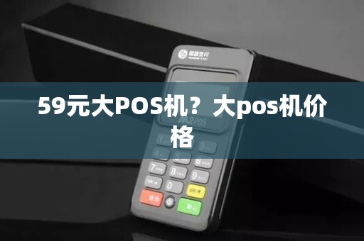 59元大POS机？大pos机价格