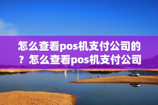 怎么查看pos机支付公司的？怎么查看pos机支付公司的余额