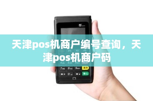 天津pos机商户编号查询，天津pos机商户码