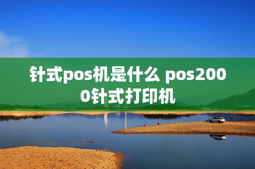 针式pos机是什么 pos2000针式打印机