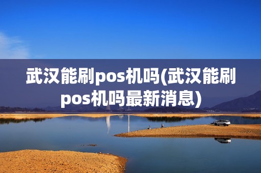 武汉能刷pos机吗(武汉能刷pos机吗最新消息)