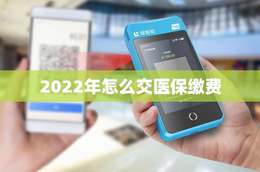 2022年怎么交医保缴费