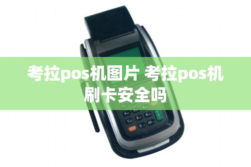 考拉pos机图片 考拉pos机刷卡安全吗