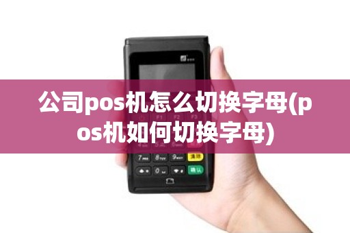 公司pos机怎么切换字母(pos机如何切换字母)