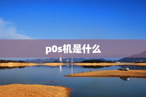 p0s机是什么