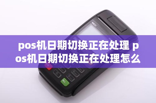 pos机日期切换正在处理 pos机日期切换正在处理怎么办