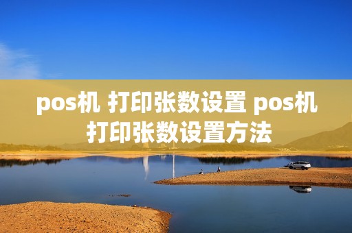 pos机 打印张数设置 pos机 打印张数设置方法