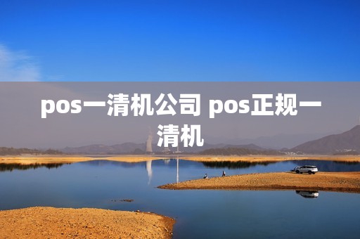 pos一清机公司 pos正规一清机