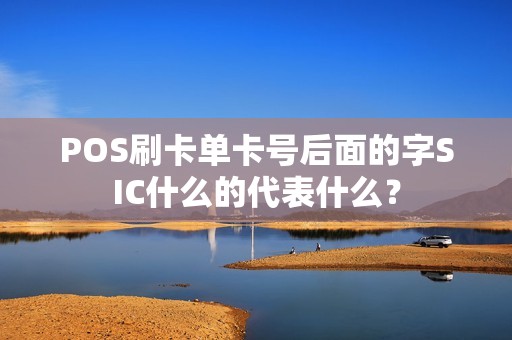 POS刷卡单卡号后面的字SIC什么的代表什么？