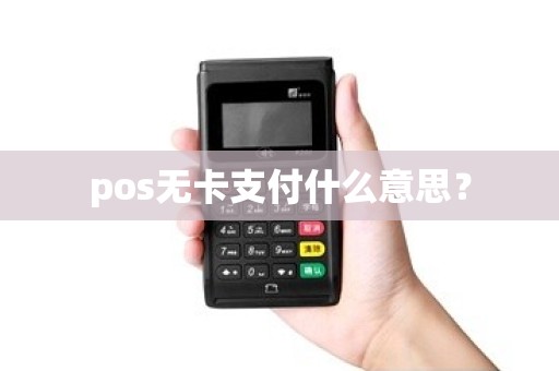 pos无卡支付什么意思？