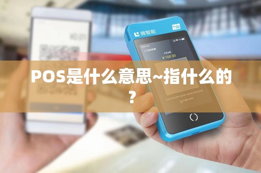 POS是什么意思~指什么的？