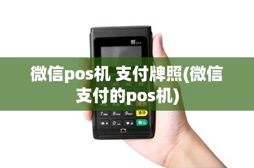 微信pos机 支付牌照(微信支付的pos机)
