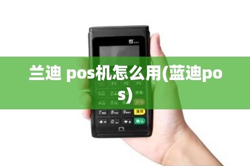兰迪 pos机怎么用(蓝迪pos)