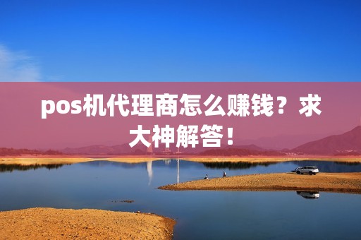 pos机代理商怎么赚钱？求大神解答！