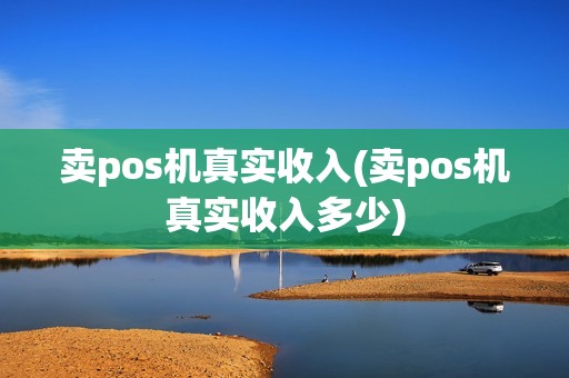 卖pos机真实收入(卖pos机真实收入多少)