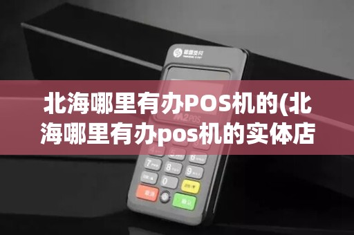 北海哪里有办POS机的(北海哪里有办pos机的实体店)