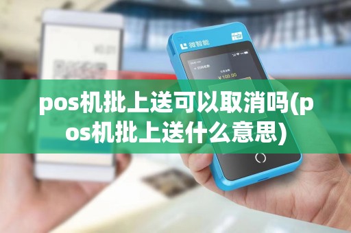 pos机批上送可以取消吗(pos机批上送什么意思)