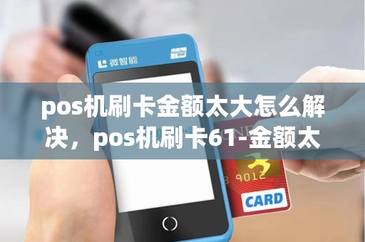 pos机刷卡金额太大怎么解决，pos机刷卡61-金额太大