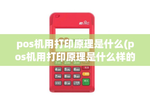 pos机用打印原理是什么(pos机用打印原理是什么样的)