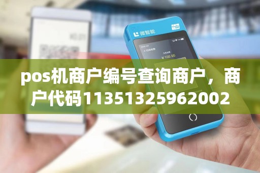 pos机商户编号查询商户，商户代码113513259620024？