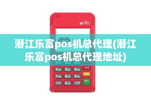 潜江乐富pos机总代理(潜江乐富pos机总代理地址)