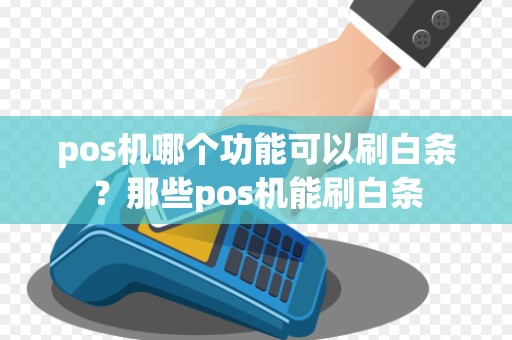 pos机哪个功能可以刷白条？那些pos机能刷白条