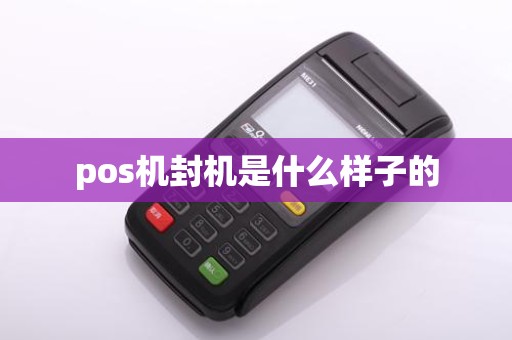 pos机封机是什么样子的