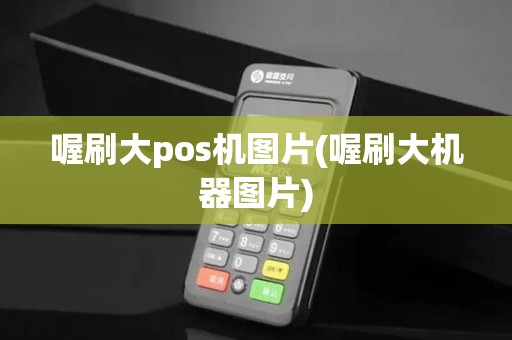 喔刷大pos机图片(喔刷大机器图片)