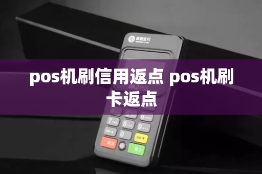 pos机刷信用返点 pos机刷卡返点