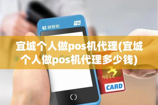 宜城个人做pos机代理(宜城个人做pos机代理多少钱)