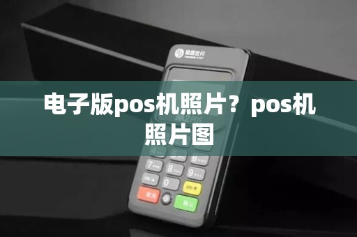 电子版pos机照片？pos机照片图