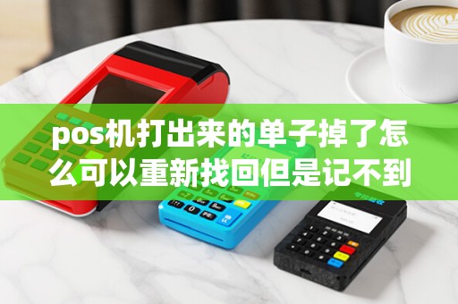 pos机打出来的单子掉了怎么可以重新找回但是记不到流水号