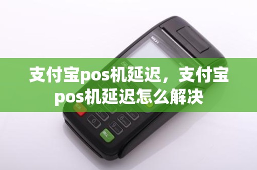支付宝pos机延迟，支付宝pos机延迟怎么解决