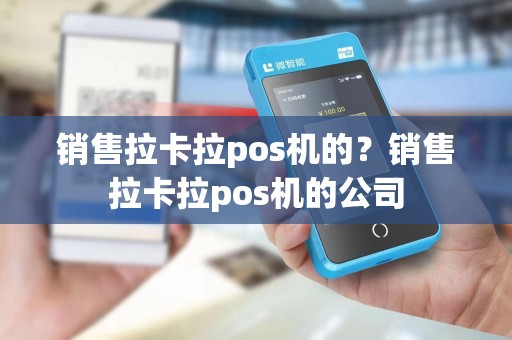 销售拉卡拉pos机的？销售拉卡拉pos机的公司