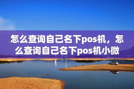 怎么查询自己名下pos机，怎么查询自己名下pos机小微商户有多少