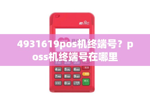 4931619pos机终端号？poss机终端号在哪里