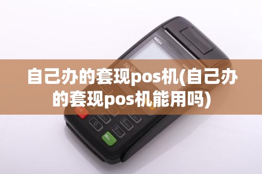 自己办的套现pos机(自己办的套现pos机能用吗)
