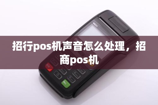 招行pos机声音怎么处理，招商pos机