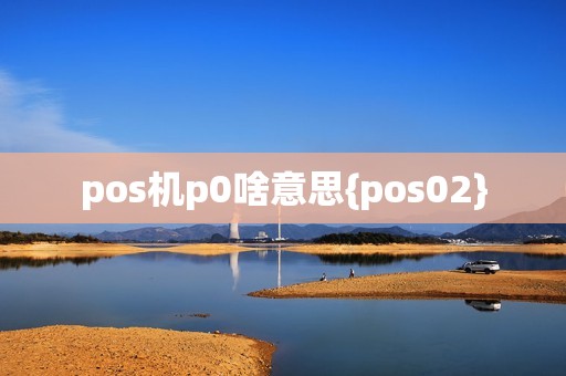 pos机p0啥意思{pos02}
