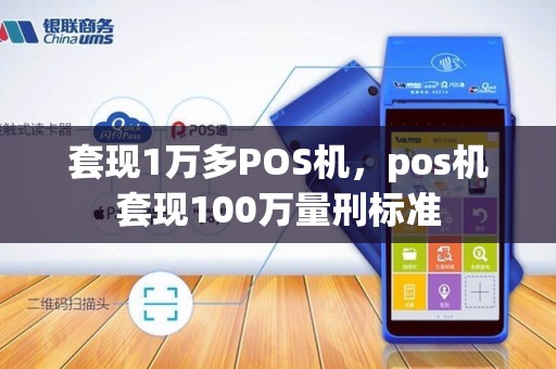 套现1万多POS机，pos机套现100万量刑标准