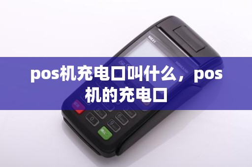 pos机充电口叫什么，pos机的充电口