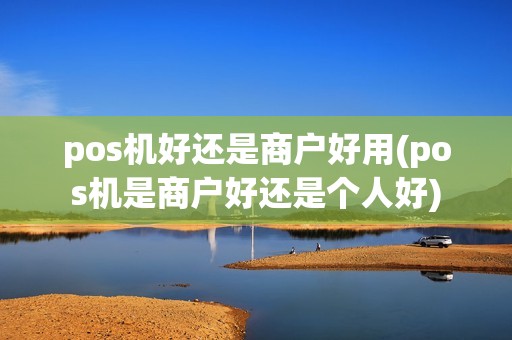 pos机好还是商户好用(pos机是商户好还是个人好)